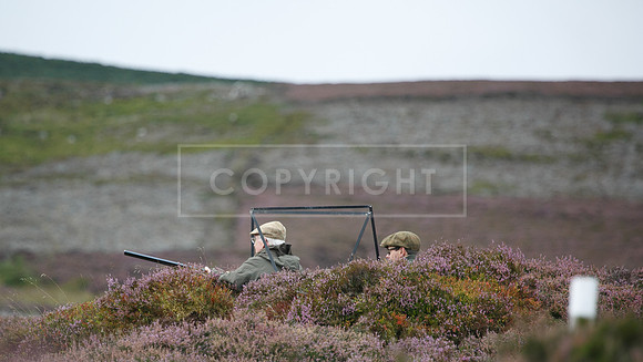 melmerby website-330