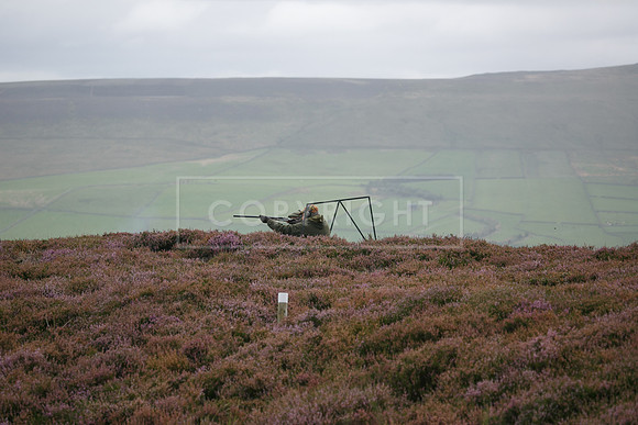 melmerby website-337