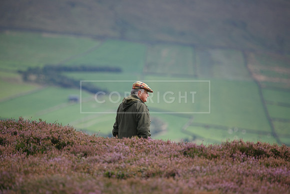 melmerby website-343
