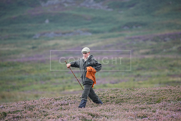 melmerby website-342