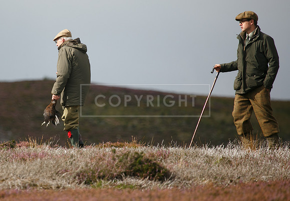 melmerby website-345