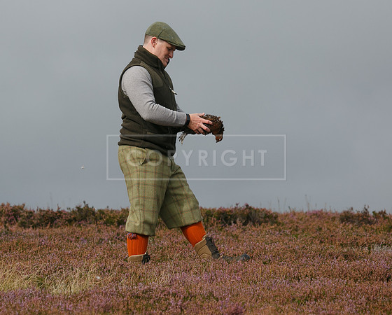 melmerby website-346