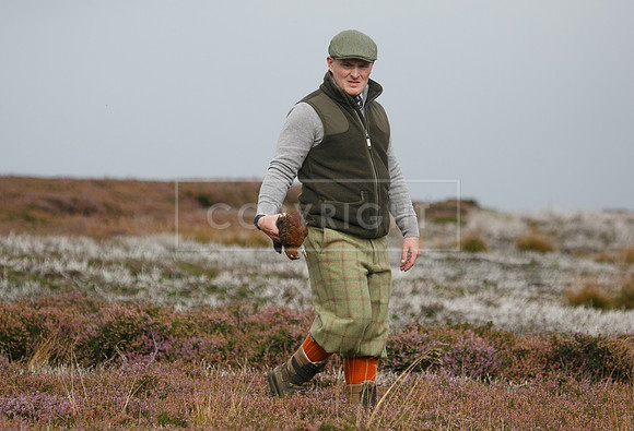 melmerby website-347