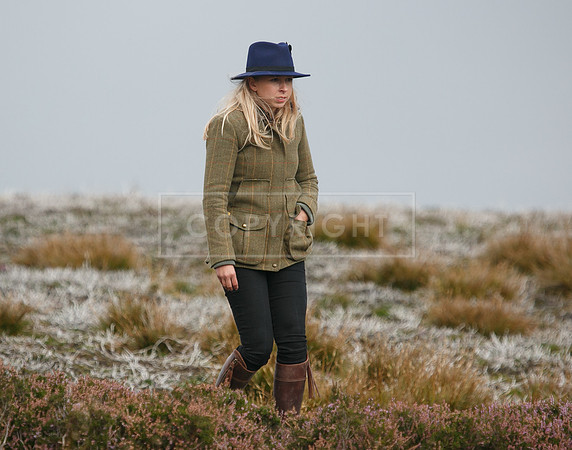 melmerby website-350