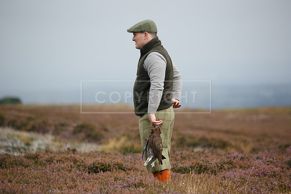 melmerby website-349