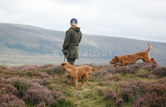 melmerby website-351
