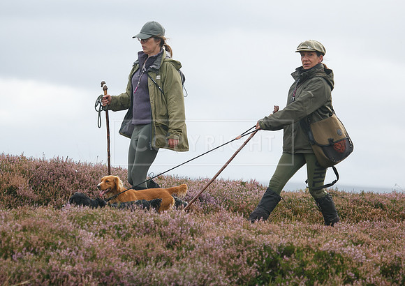 melmerby website-352