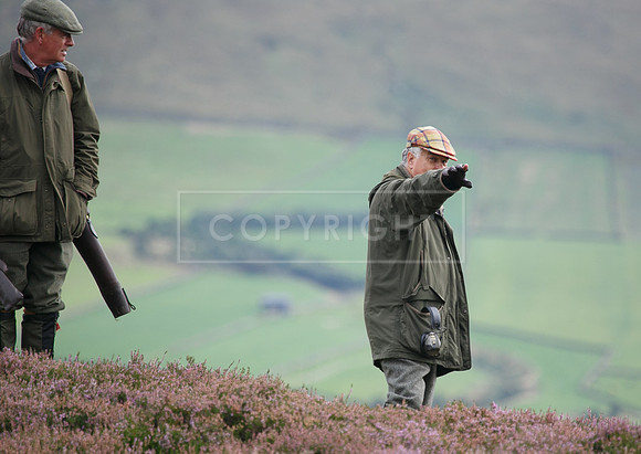 melmerby website-356