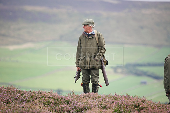 melmerby website-355