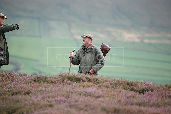 melmerby website-357