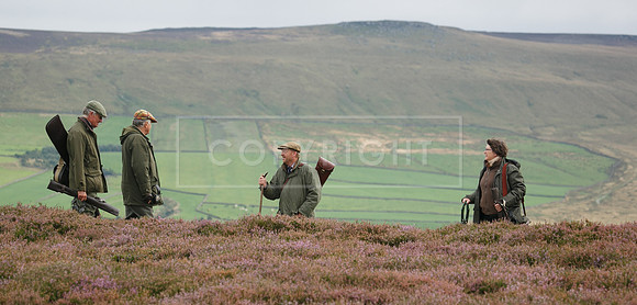melmerby website-358