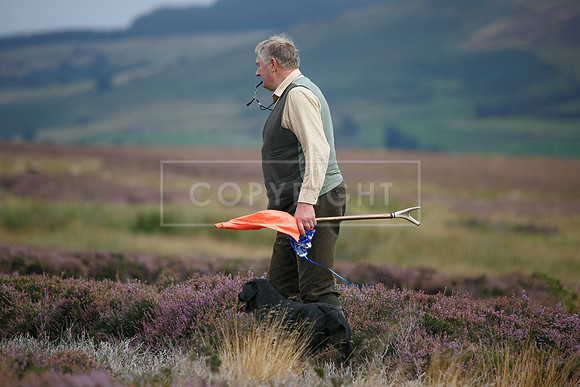 melmerby website-361