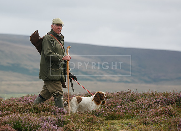 melmerby website-362