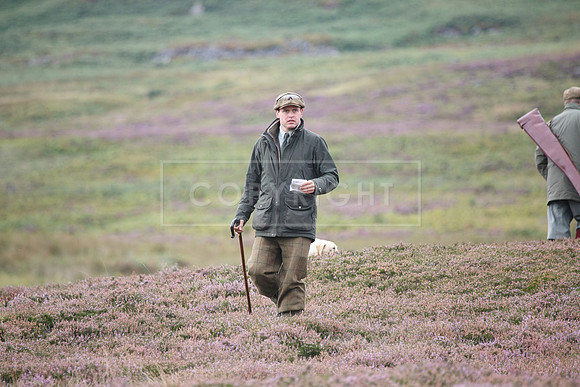 melmerby website-363