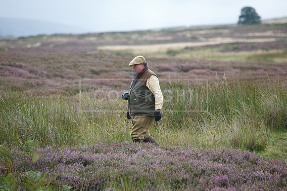 melmerby website-366
