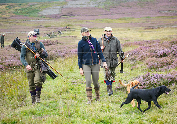 melmerby website-367