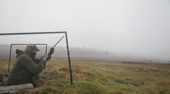 melmerby website-370