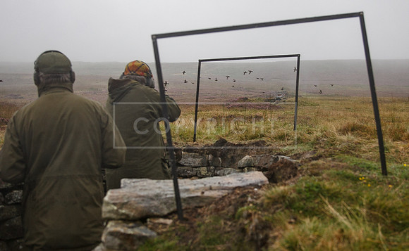melmerby website-372