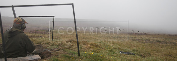 melmerby website-371
