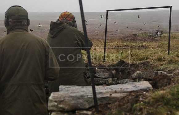 melmerby website-373