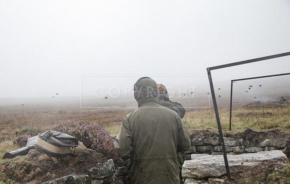 melmerby website-377