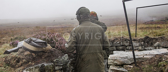 melmerby website-378