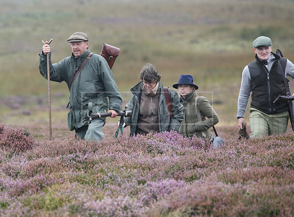 melmerby website-385