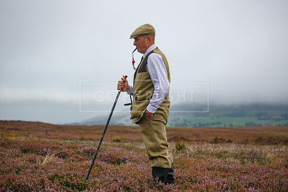 melmerby website-384