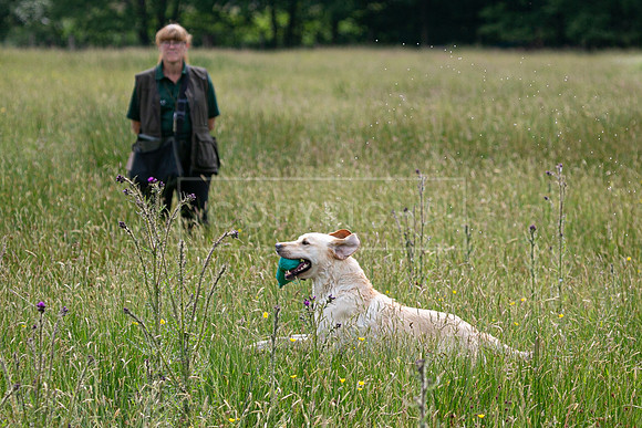 Int Retriever Day 1 -097