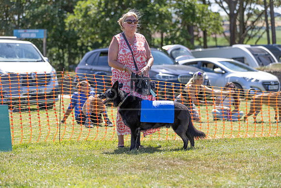 Scruffts heat @ Wadebridge 13th July 2025-11