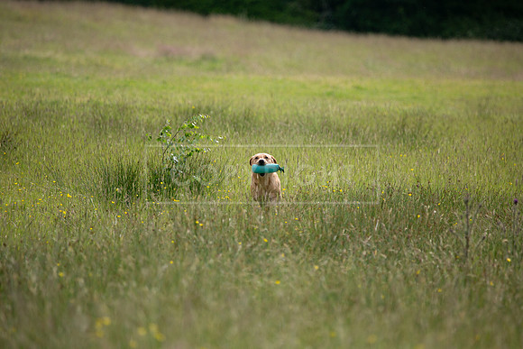 Int Retriever Day 1 -073