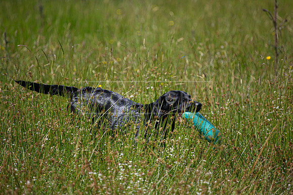 Int Retriever Day 1 -122