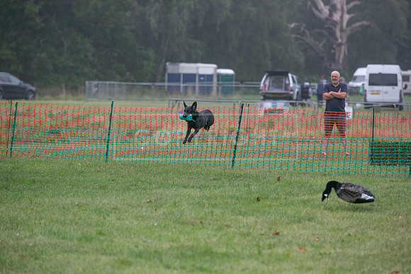 Jixenwell Scurry Challenge Final 2024-0113