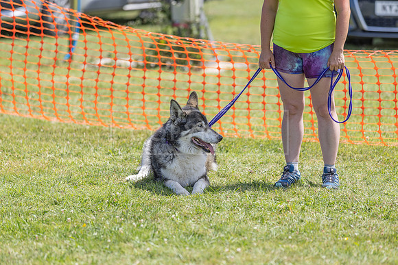 Scruffts heat @ Wadebridge 13th July 2025-107