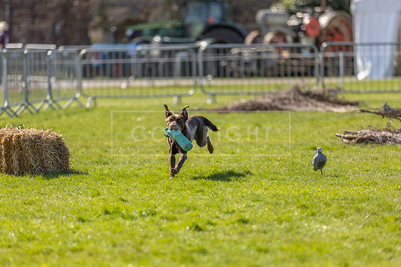 Thoresby Sun 30th Mar 25-259