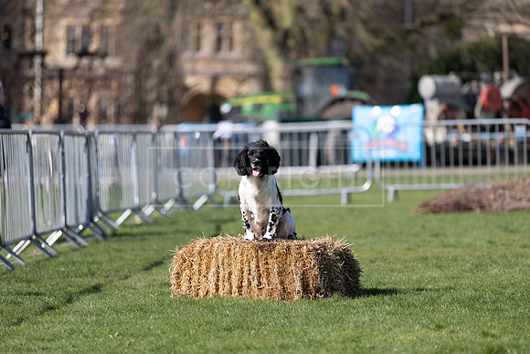 Thoresby Sun 30th Mar 25-038