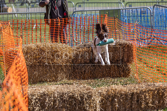 Thoresby Sun 30th Mar 25-183