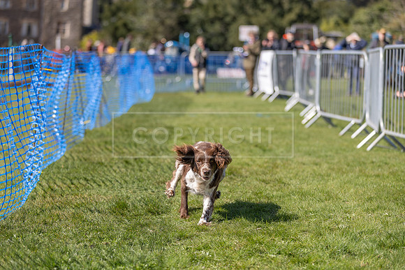 Thoresby Sun 30th Mar 25-126