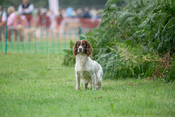 Jixenwell Scurry Challenge Final 2024-0389