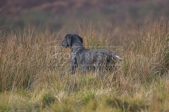HPR Championship 17th & 18th  Nov 2023-118