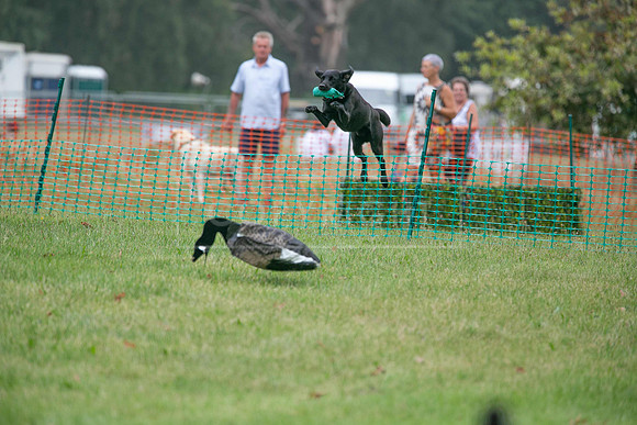 Jixenwell Scurry Challenge Final 2024-0409