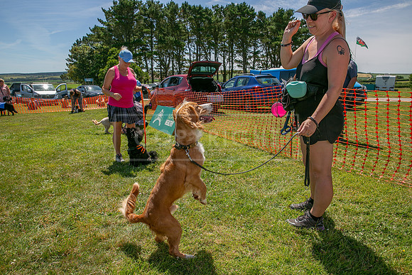 Scruffts heat @ Wadebridge 13th July 2025-15