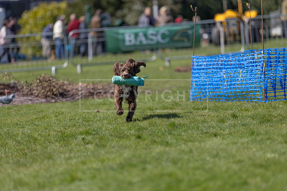 Thoresby Sun 30th Mar 25-176