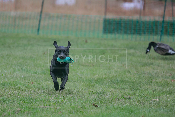 Jixenwell Scurry Challenge Final 2024-0057