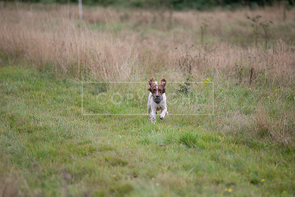 Jixenwell Scurry Challenge Final 2024-0521