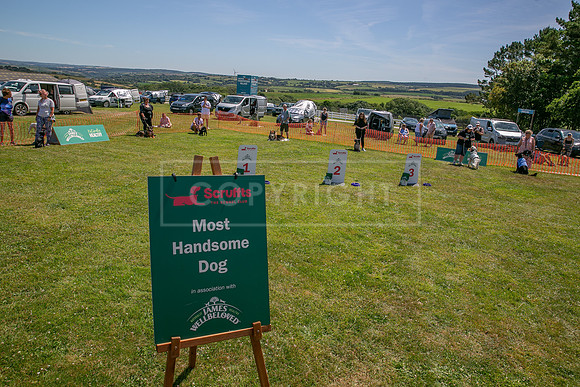 Scruffts heat @ Wadebridge 13th July 2025-32