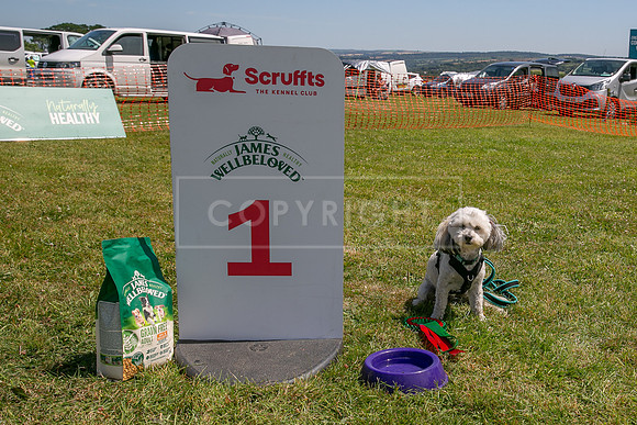 Scruffts heat @ Wadebridge 13th July 2025-93