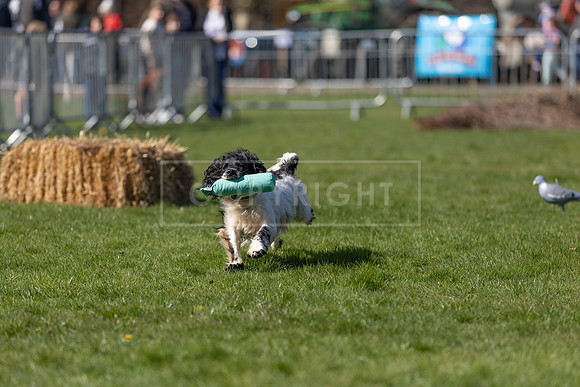 Thoresby Sun 30th Mar 25-091