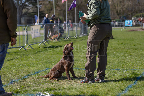 Thoresby Sun 30th Mar 25-157