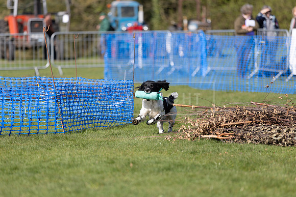 Thoresby Sun 30th Mar 25-034
